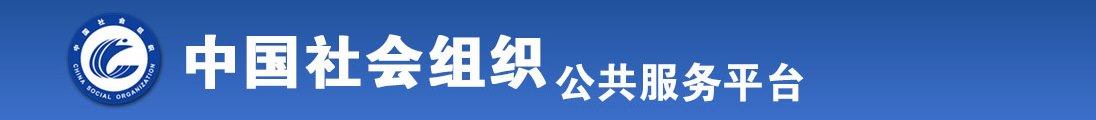 插逼视频资源全国社会组织信息查询